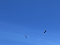 IMG_1449.jpeg IMG_1449.jpeg