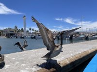 IMG_1459.jpeg IMG_1459.jpeg