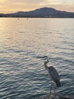 IMG_1471.jpeg IMG_1471.jpeg
