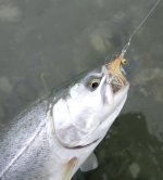 IMG_7884.jpeg