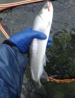 IMG_7885.jpeg