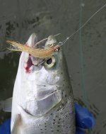 IMG_7888.jpeg