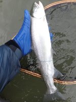 IMG_7892.jpeg