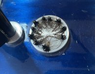 IMG_1923.jpeg