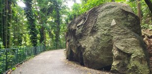Grand Anse Road.jpg