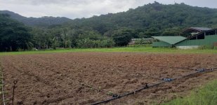 La U'nion Estate farmland.jpg