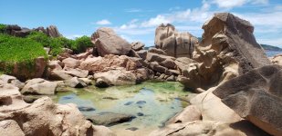 Rock Pool 1.jpg