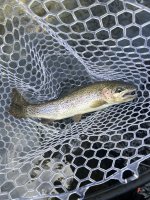 IMG_7195.jpeg IMG_7195.jpeg