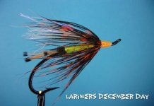 Larimers December Day.jpg