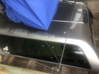 IMG_8085.jpeg
