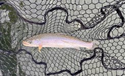 IMG_5150.jpeg