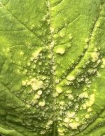 IMG_3159.jpeg IMG_3159.jpeg
