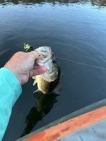 IMG_2822.jpeg