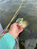 IMG_2818.jpeg