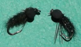 dragonfly boobie nymph - Copy.jpg