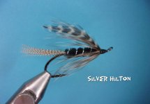 siver hilton.jpg