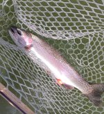 IMG_20240530_131059780.jpg