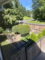 IMG_4199.jpeg IMG_4199.jpeg