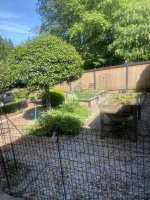 IMG_4200.jpeg IMG_4200.jpeg