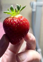 IMG_5752.jpeg