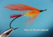 Tolly's Polar Shrimp.jpg Tolly's Polar Shrimp.jpg