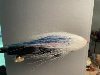 IMG_3343.jpeg IMG_3343.jpeg