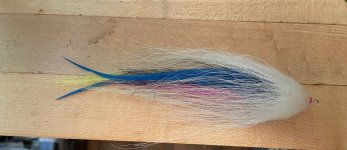IMG_3344.jpeg IMG_3344.jpeg
