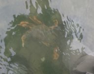 IMG_8019.jpeg