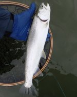 IMG_8015.jpeg