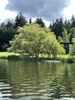 IMG_8825.jpeg
