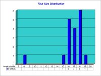 Fish Size Distribution Chart 2024-05-31.jpg