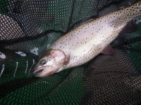 IMGP6010.JPG