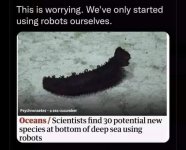 IMG_5753.jpeg