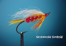 Skykomish Sunrise (2).jpg