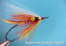 sky variant2.jpg