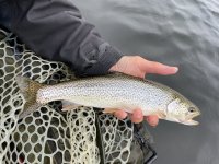 IMG_5308.jpeg