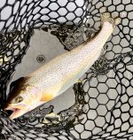 IMG_5208.jpeg