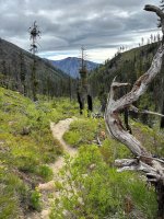moody trail.jpg moody trail.jpg