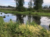 IMG_1810.jpeg