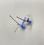 IMG_5363.jpeg IMG_5363.jpeg