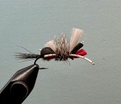 IMG_7248.jpeg