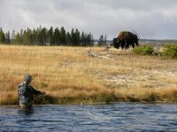 IMG_0010.jpeg