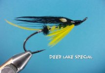 Dear Lake Special.jpg