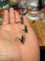 IMG_6043.jpeg