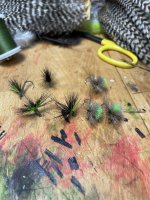 IMG_6047.jpeg
