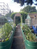 IMG_5769.jpeg IMG_5769.jpeg