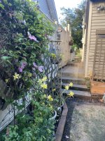 IMG_5774.jpeg IMG_5774.jpeg