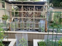 IMG_5775.jpeg