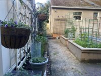 IMG_5777.jpeg IMG_5777.jpeg