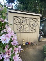 IMG_5779.jpeg IMG_5779.jpeg